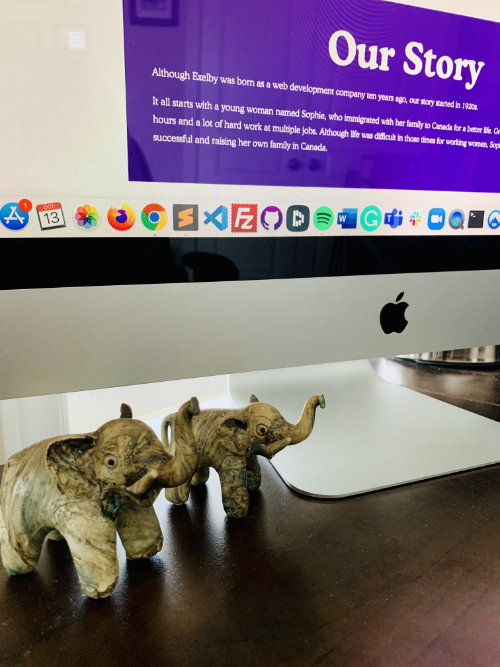 exelby elephants in front of an iMac screen